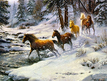 winter run, winter, horses, creek, snowflakes, snow, trees, run HD wallpaper