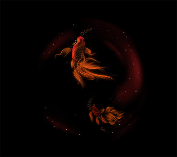Gold Fish in The Dark, fish, beautiful, nature, dark HD wallpaper