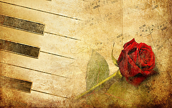 Red Rose, beauty, rose, music, piano, petals, flower, musical notes, roses, romance, beautiful, pretty, red, with love, red roses, nature, romantic, flowers, lovely, valentines day, for you HD wallpaper