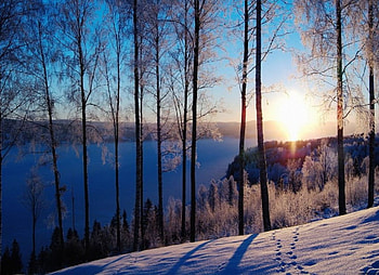 sunrise near a lake, trees, water, lake, sunrise HD wallpaper
