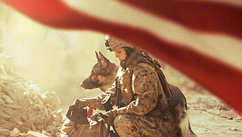 Megan Leavey (2022) movie HD wallpaper