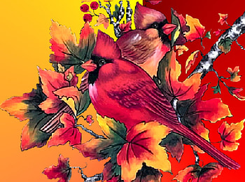 Autumn Cardinals, autumn, birds, cardinals HD wallpaper
