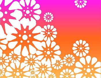 Silhouette flowers, pink, orange, white flowers, silhouette HD wallpaper