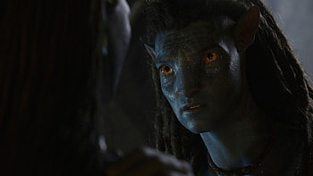 Sam Worthington Zoe Saldana Avatar The Way of Water HD wallpaper