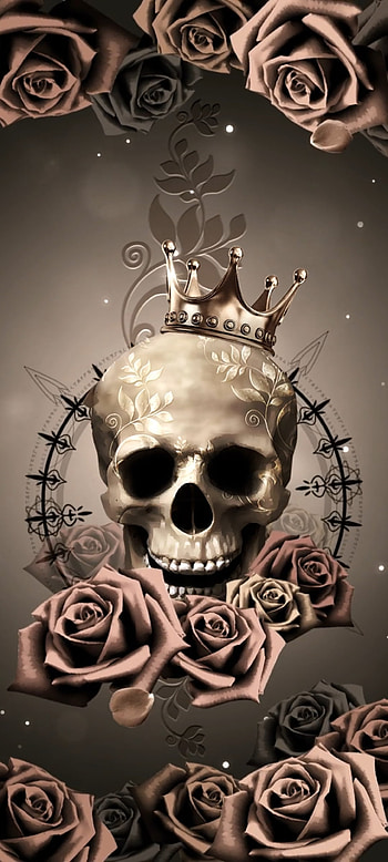 Elegant rose Skull, love, sunglasses, flash graphy, flowers, vintage, valentine HD phone wallpaper