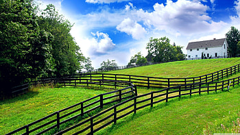 farm , High-resolution , Countryside scenery, Farm life HD wallpaper