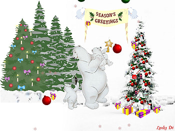 Trees, winter, holiday, snow, christmas HD wallpaper