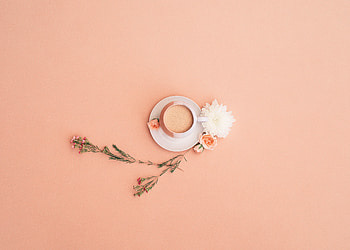 Minimal, cup, flowers HD wallpaper