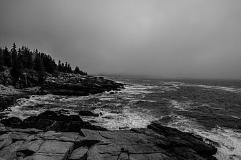 Nature, Waves, Rocks, Forest, Bw, Chb HD wallpaper