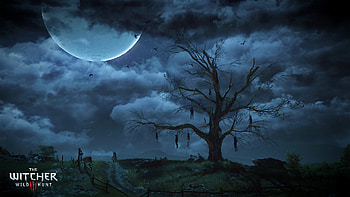 234 The Witcher 3: Wild Hunt | Backgrounds - Abyss - Page 2 HD wallpaper
