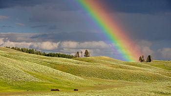 Rainbow, nature, field, beauty HD wallpaper