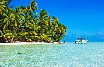 South Pacific Beach, island, sea, sand, tropical, exotic, paradise, lagoon, french, south pacific, beach, palm trees, ocean, polynesia HD wallpaper