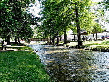 Park River, trees, river, leaves, water HD wallpaper