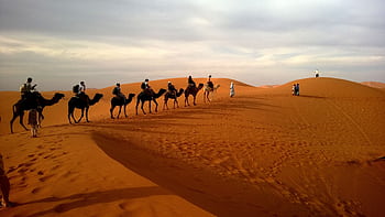 A group traveling on camels over reddish sands under a cloudy sky in a vast desert landscape. HD wallpaper