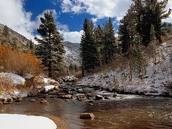 Nature, Trees, Stones, Flow, California, Mountain River HD wallpaper