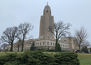 Nebraska outlawing, treated seeds, ethanol plants, brownfield ag news HD wallpaper