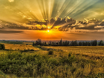Golden Dawn, dawn, field, clouds, nature, sun, sunrise HD wallpaper