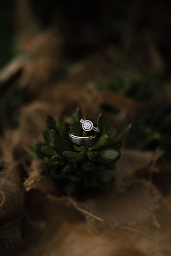 Love, Ring, Romance, Diamonds, Jewel HD phone wallpaper