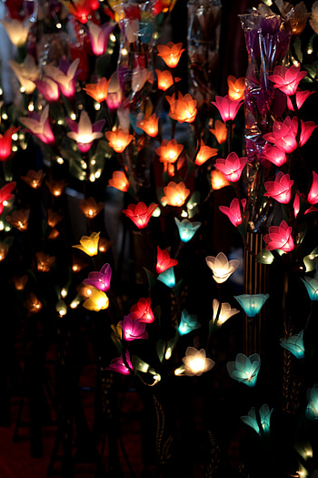 Miscellanea, Flowers, Miscellaneous, Illumination, Garland, Lighting HD phone wallpaper