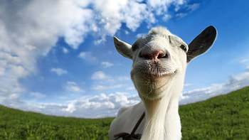 Goat Simulator, Goats HD wallpaper