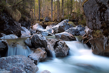 Nature, Rivers, Stones, Forest HD wallpaper