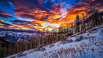 Beartrap Fork Winter Sunset, Wasatch Mountains, Utah, snow, trees, landscape, colors, clouds, sky, usa HD wallpaper