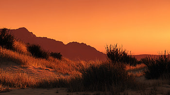 Golden Desert Sunset — Nature, nature, desert, dune, mountain HD wallpaper