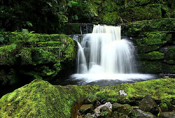 Rapid Waterfalls, falls, waterfalls, rocks, daylight, day, leaves, nature, water, forest HD wallpaper