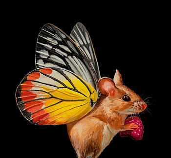 Fairy mouse, mouse, fantasy, art, lisa ericson, wings, lusa ericson, black, raspberry, fairy, yellow, red HD wallpaper