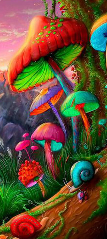 Shrums, mushrooms, nature, hippie HD phone wallpaper