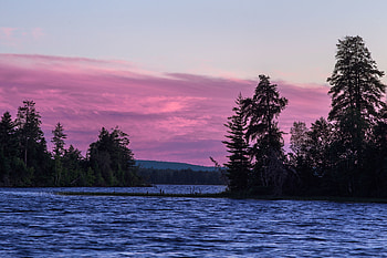 Nature, Water, Trees, Sky, Lake, Spruce, Fir HD wallpaper