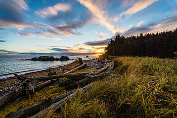 Nature, Sunset, Grass, Coast, Forest, Evening HD wallpaper