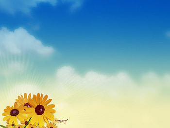 Sunflower, flowers, 3d HD wallpaper