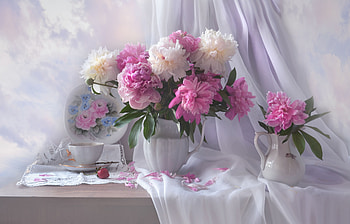 Still life, Flowers, Cup, Peonies, Pitchers HD wallpaper