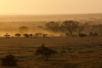 Serengeti National Park, Maite Safaris, Explore, African HD wallpaper