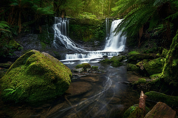 Waterfall, garden, nature, moss HD wallpaper