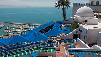 Best olive oils store, Tunisian travels, Exquisite Tunisian cuisine, Culinary delights HD wallpaper