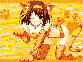 neko girl, cute, neko, girl, tiger HD wallpaper
