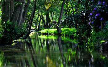 Landscape, Rivers, Trees HD wallpaper