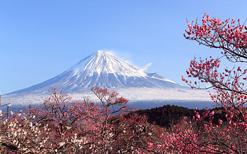 Mount Fuji, Travels, MT Fuji , Stunning HD wallpaper