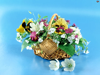 Plants, Holidays, Flowers, Bouquets HD wallpaper