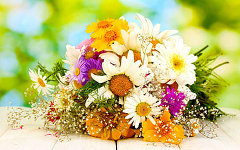 Flower Bouquet, Bouquet , Beautiful backgrounds, Floral arrangements HD wallpaper