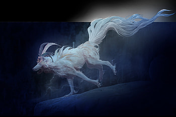When I asked you to stay, blue, animal, white, running, wolf, feather, xxnamaste, fantasy, luminos HD wallpaper
