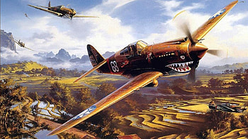 aircraft military fighter world war ii warbird black widow . HD wallpaper