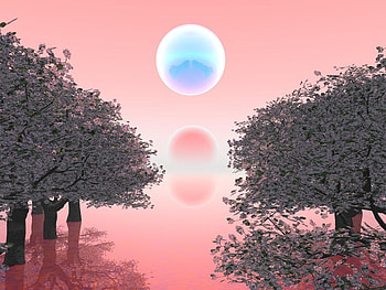 Moon, trees, pink, abstract HD wallpaper