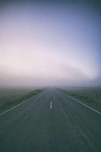 Nature, Road, Markup, Fog, Field HD phone wallpaper