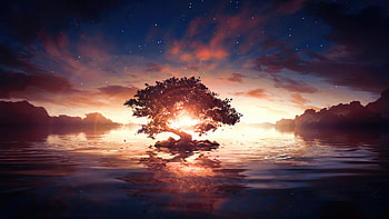 A Lonely Tree In A Surreal Sunrise, artist, artwork, tree, digital-art, nature, sunset, sunrise, artstation HD wallpaper