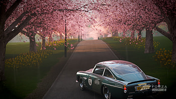 Forza, sakura, Forza Horizon 4, video game HD wallpaper