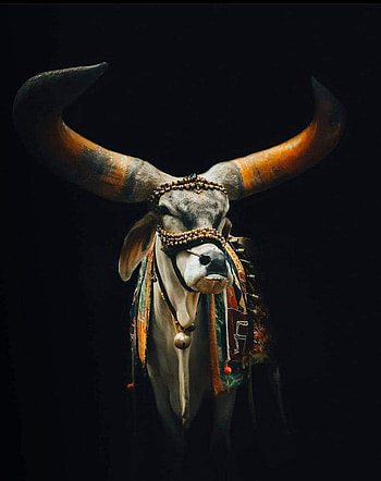Cow, art, beak, animals HD phone wallpaper