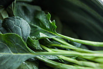 Vibrant close-up of fresh organic collard greens showcasing natural texture and color. HD wallpaper